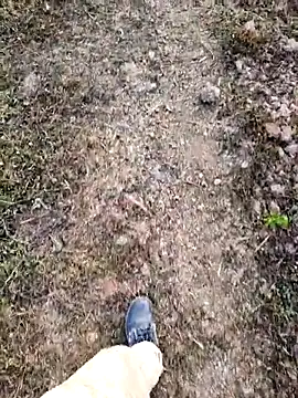 Ishan003 online show from February 5, 1:34 am