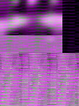 mobydick42085 online show from November 5, 10:34 pm