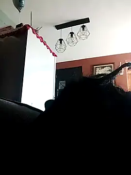 Bola453 online show from March 2, 4:58 pm