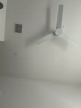 PointingPetrol online show from January 14, 5:17 pm