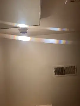 DaBishoo online show from June 18, 6:15 am