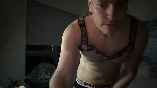 Gingerbushguy online show from January 1, 12:11 pm