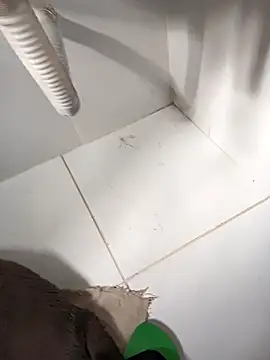 Snapshot of lobomisterioso13 chatting on March 14, 12:07 pm lobomisterioso13 online show from March 14, 12:07 pm