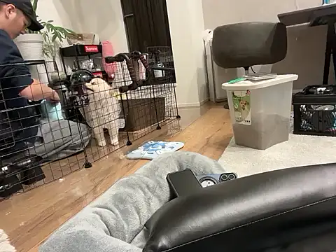 kensnb online show from November 1, 9:13 am