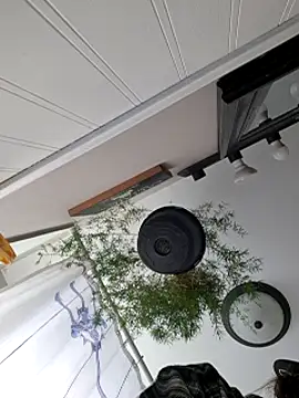 clitstitsandbongrips online show from January 10, 7:00 pm