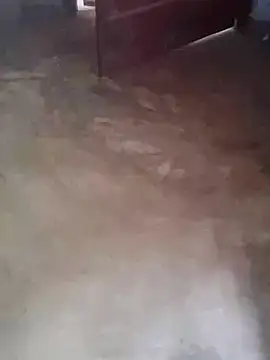 hass-925 online show from September 26, 8:23 am