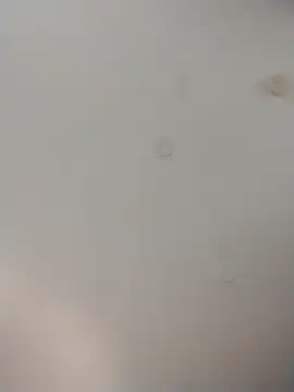 geilerschwanz64 online show from November 25, 10:12 pm