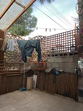 TowaFreespirit online show from December 11, 9:32 am