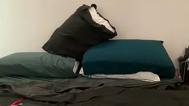 bearcloudcomputa online show from December 21, 11:24 pm