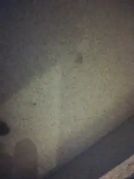 Leocesar37 online show from October 18, 4:28 am