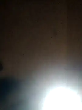 Leocesar37 online show from February 2, 4:48 pm