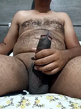 Jornaodaputaria online show from November 5, 6:10 pm