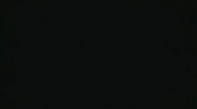 alansteer online show from December 22, 10:49 am