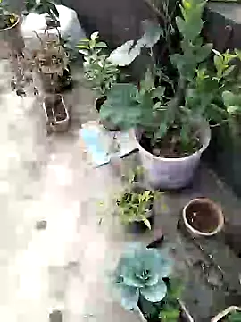 Jeetshine 1234 online show from December 11, 3:47 am