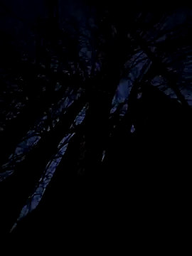 Fuckboy4public online show from November 20, 9:57 pm