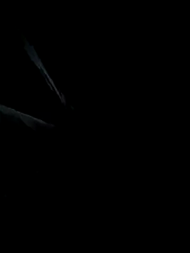 seductivescamp online show from January 9, 12:38 am