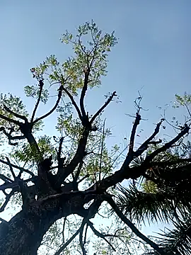 jaiwrld0 online show from February 7, 8:10 am