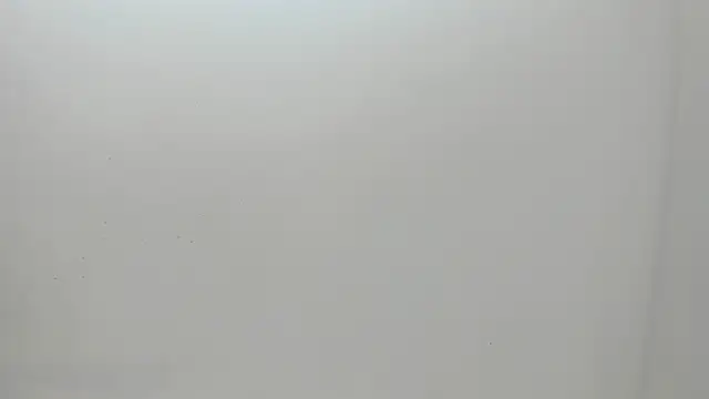 Flynn Riider online show from March 1, 11:17 am