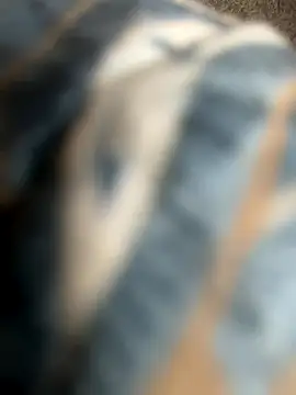 daddymaniaco69 online show from December 6, 12:07 am