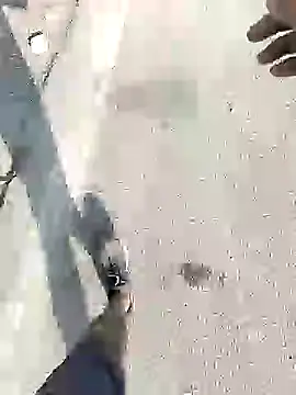 chootkapyasa007 online show from September 13, 10:49 am