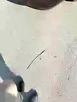 chootkapyasa007 online show from January 27, 10:06 am