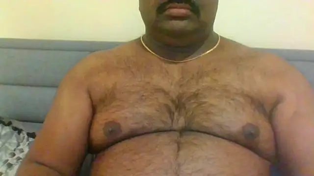 indianbearbot online show from January 26, 8:13 pm