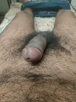 chinchi online show from March 18, 11:55 am