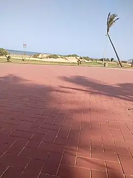 vhakhadzi online show from January 14, 1:38 pm