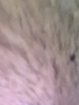 TOPMOON001 online show from March 7, 6:24 am