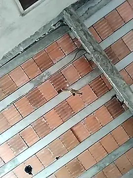 safado0027 online show from October 31, 10:51 am