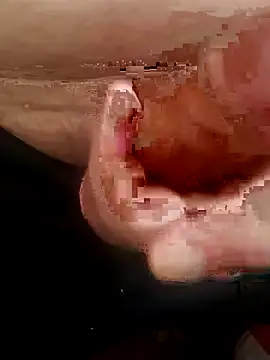 edivalll32 online show from July 6, 5:48 pm