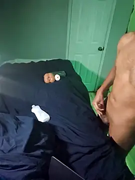 noyr 2003 online show from March 6, 8:41 am