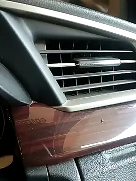 Raj41 online show from November 17, 3:31 am