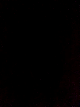 onewinnertee online show from November 23, 12:32 am