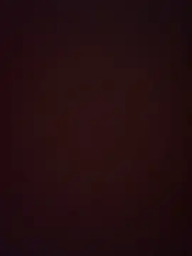 bbghuokl online show from March 7, 1:31 pm