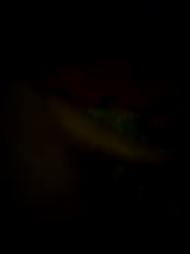 jonzzvergs online show from February 9, 12:30 pm