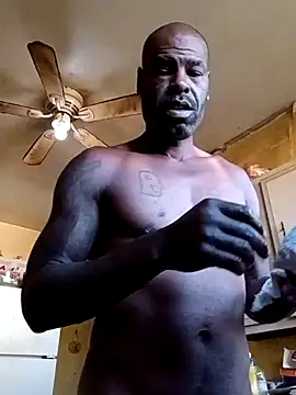 birdg online show from November 12, 6:46 pm