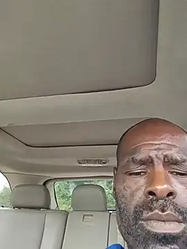 birdg online show from August 1, 8:52 pm