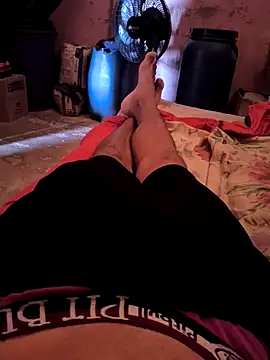 DamAlves49 online show from November 18, 12:20 pm