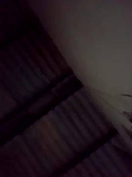 Bichorro online show from February 3, 7:02 am