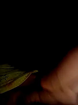 seksowny1990 online show from November 1, 2:04 am