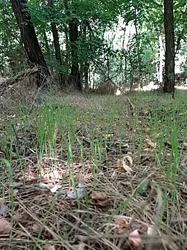sile47 online show from July 31, 7:19 am