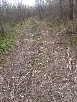 sile47 online show from March 16, 1:59 pm