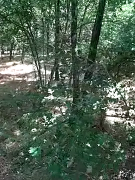 sile47 online show from July 19, 10:54 am