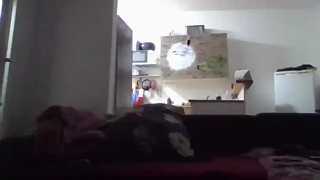 ThePython666 online show from November 17, 5:05 pm