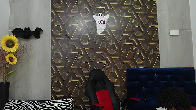 black king 241 online show from November 12, 3:12 am