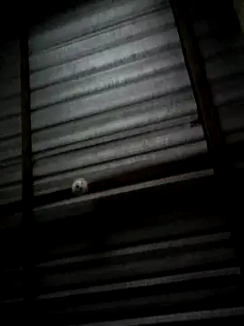 Ortiz3404 online show from October 20, 5:22 am