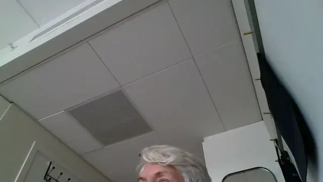 Swegay12-Exhi online show from October 5, 1:15 pm