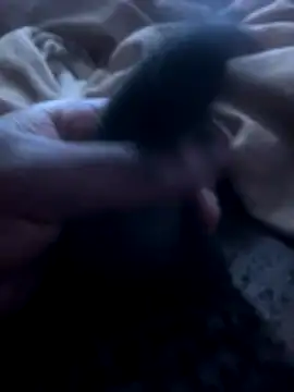 kamo012000 online show from December 13, 9:21 pm