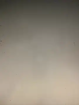 sasatimido online show from January 14, 9:07 pm